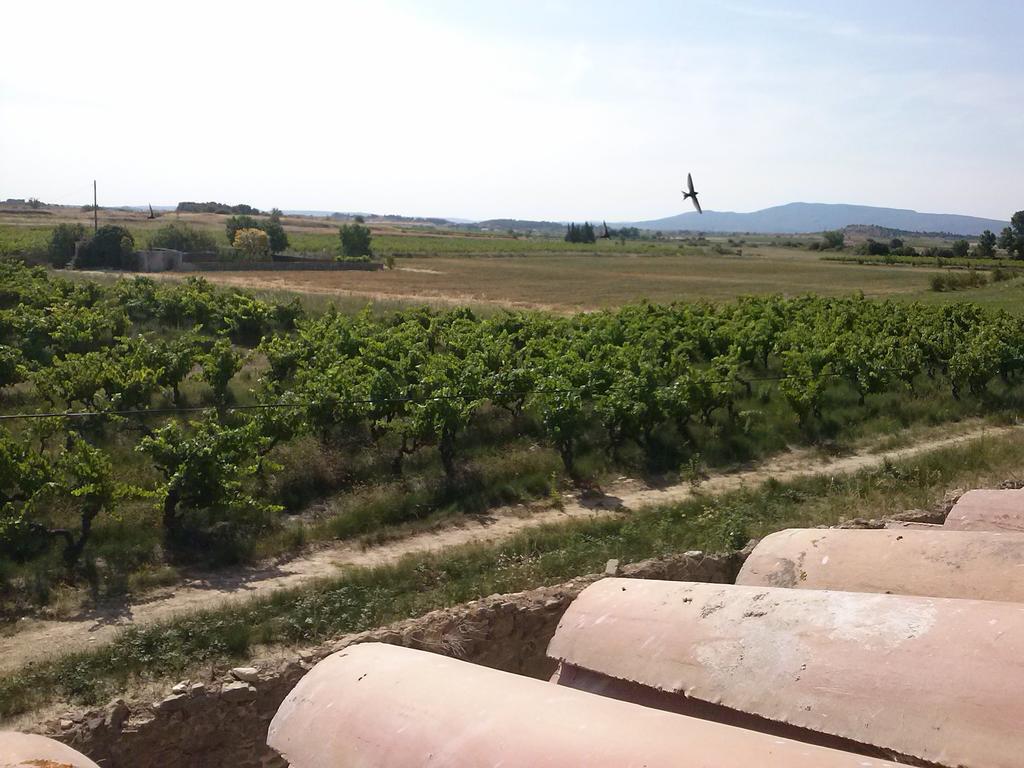 Chambre D'Hotes Le Massanous Laure-Minervois ห้อง รูปภาพ